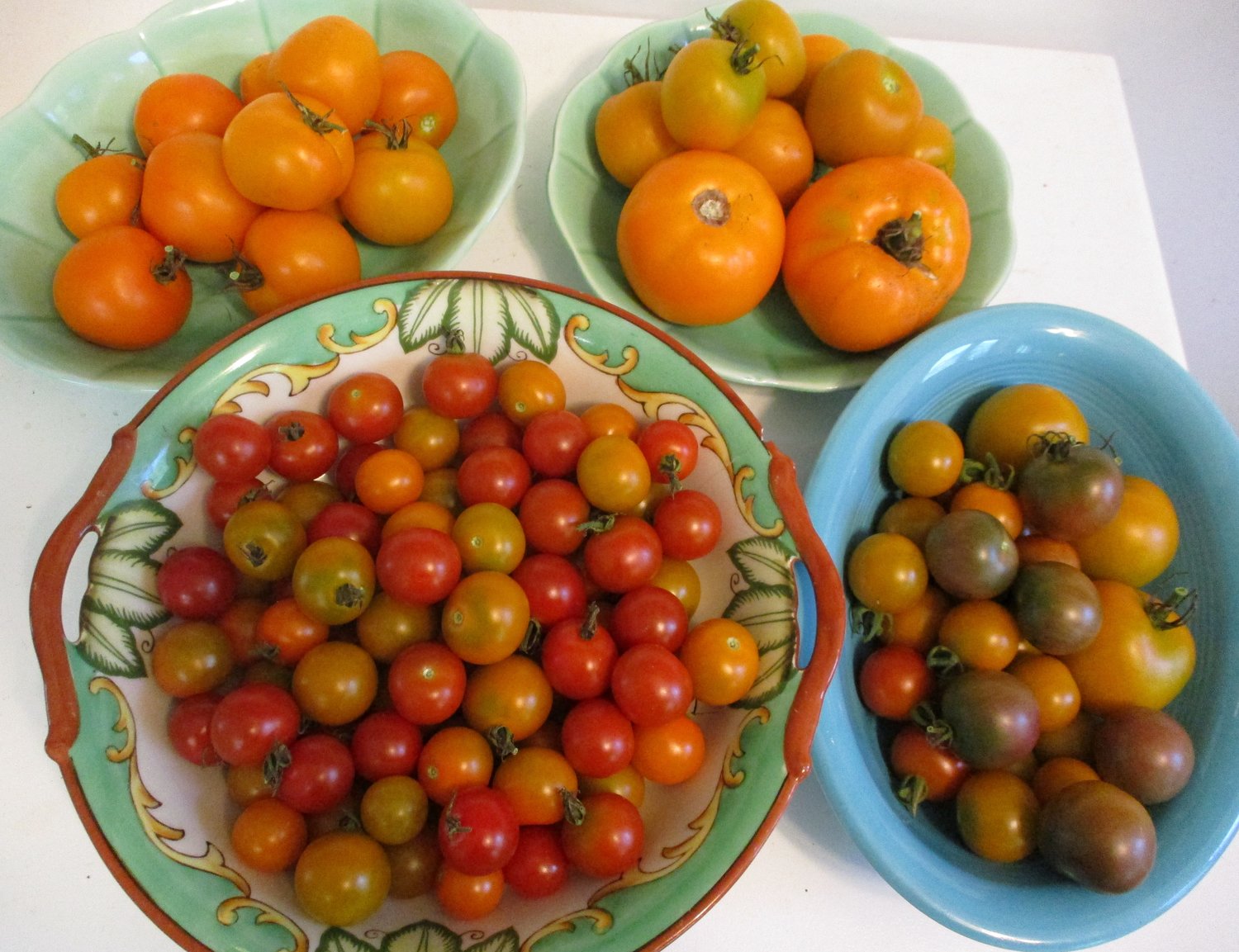 So many tomatoes! The garden had an abundance this year.